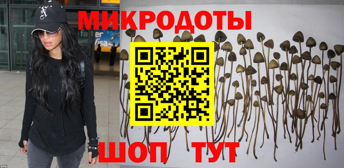 Псилоцибиновые грибы прущие грибы  Вход с VPN  Лянтор 