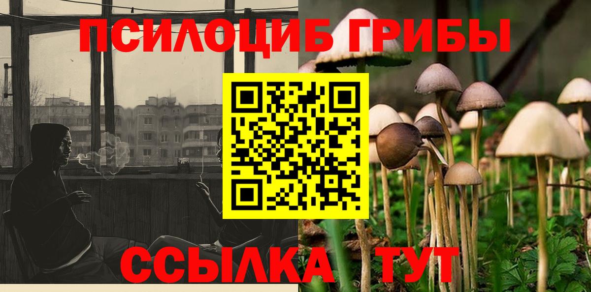 Галлюциногенные грибы мицелий Лянтор